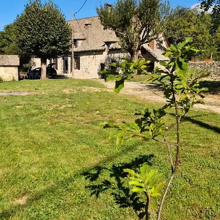 Maison Typique Auvergnate, Piscine Et Four A Pain 別荘 Saint-Christophe-Les-Gorges
