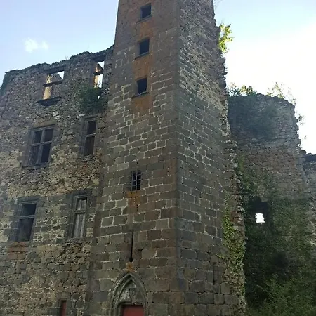 別荘 Maison Typique Auvergnate, Piscine Et Four A Pain *