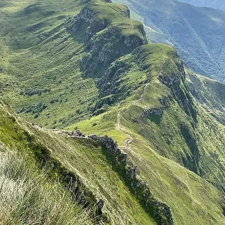 Maison Typique Auvergnate, Piscine Et Four A Pain * Saint-Christophe-Les-Gorges
