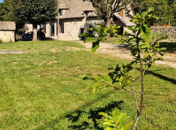 Maison Typique Auvergnate, Piscine Et Four A Pain بيت للعطل Saint-Christophe-Les-Gorges