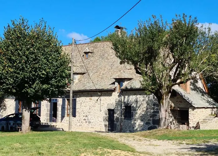Maison Typique Auvergnate, Piscine Et Four A Pain
